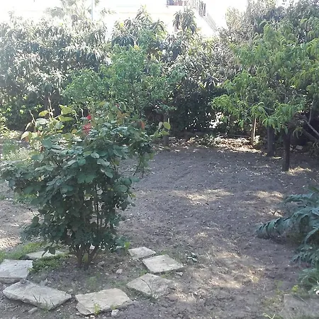 Bed & Breakfast La Palma