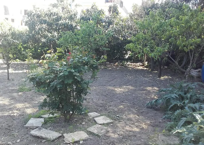 Couette-café La Palma